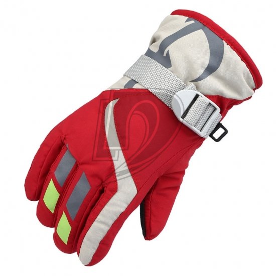 Ski Gloves