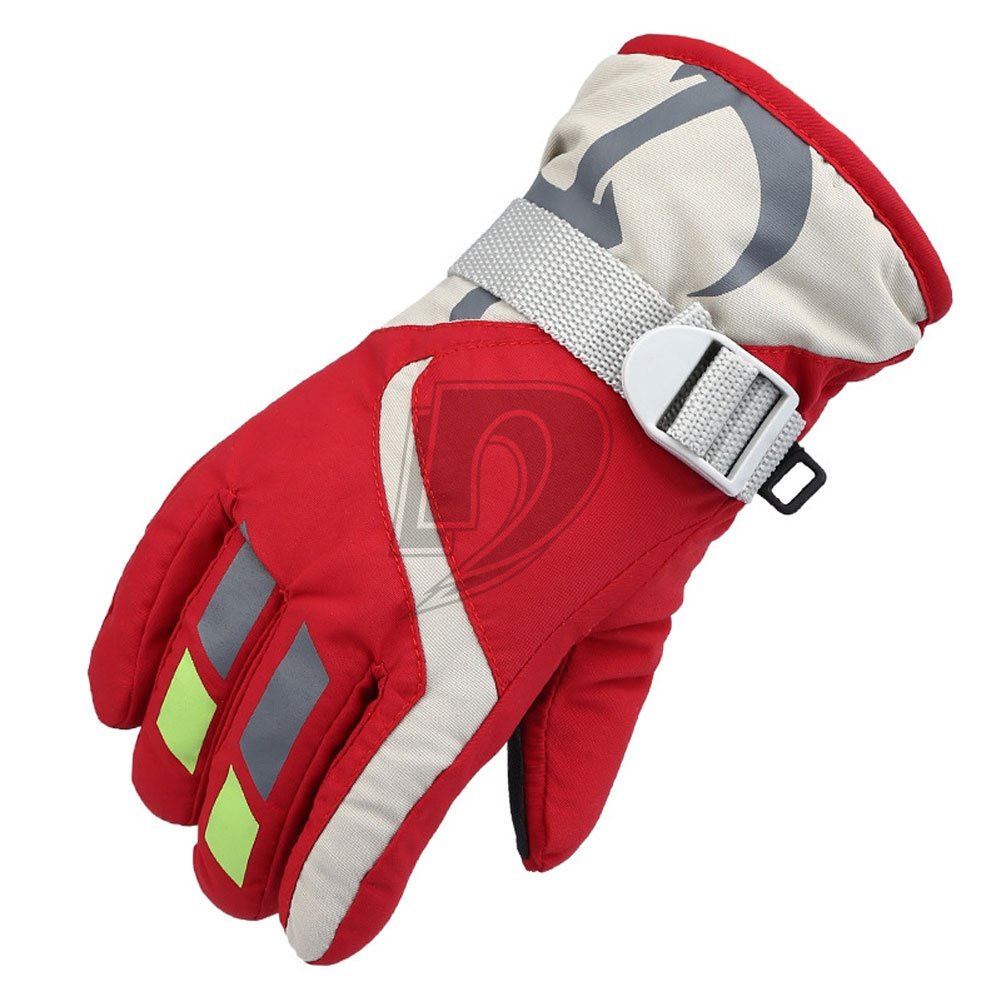Ski Gloves