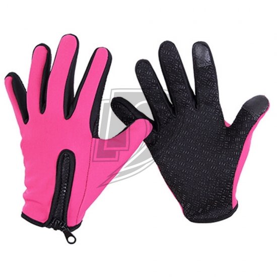 Ski Gloves