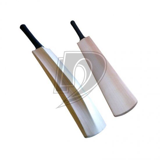 Cricket Bat