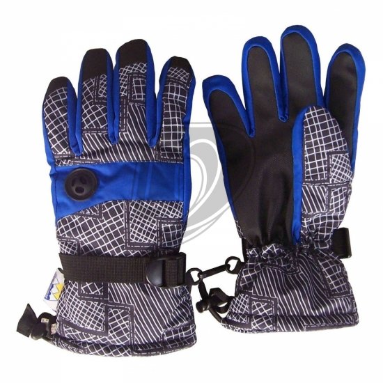 Ski Gloves